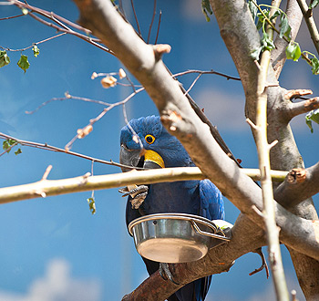 短信测压在线平台